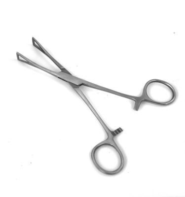 forcep-triangular-cerrado-yanni-piercing
