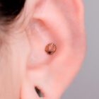 Yanni Piercing Joyas Titanio Conch Labret Concha (1)