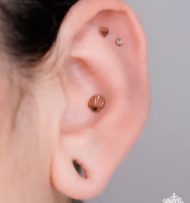 Diseño Concha Corazon Circonita