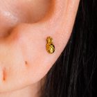 Labret Ananas - Titanio GI 4 Piña Cerca