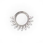Circonitas - Pack 3x2 Joyas de Titanio 5 Aro Clicker Tiara Daith Septum Yanni Piercing