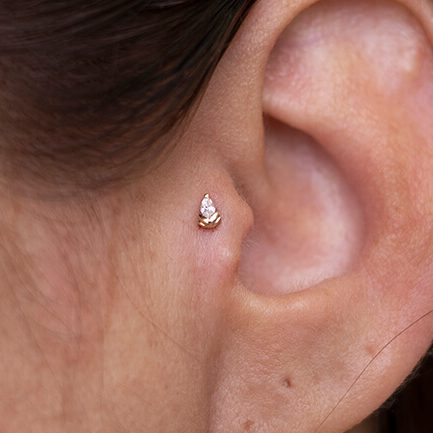 Yanni Piercing Junipurr Oro Tragus