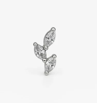 Yanni Piercing Titanio Grado Implante